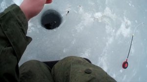 хороший клёв подлещика в марте, ловля на черта. 17.03.19