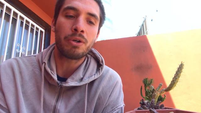 Chileprende - DUSAN NICOLAS TODOROVIC RODRIGUEZ смотреть онлайн