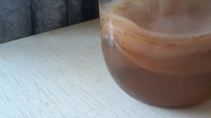 Почему чайный гриб не растёт??!?