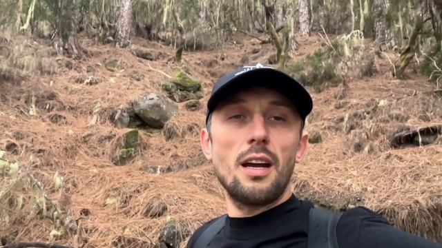 ПОХОД В ГОРЫ НА ТЕНЕРИФЕ БЕЗ ГИДА | ПЕШАЯ ПРОГУЛКА НА КАНАРСКИХ ОСТРОВАХ | ОТДЫХ НА ТЕНЕРИФЕ 2022 смотреть онлайн