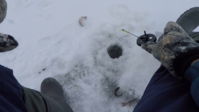 Бешеный клев окуня на балансир.... смотреть онлайн
