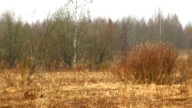 "ШМУРДАКОП" и тест новой камеры! смотреть онлайн