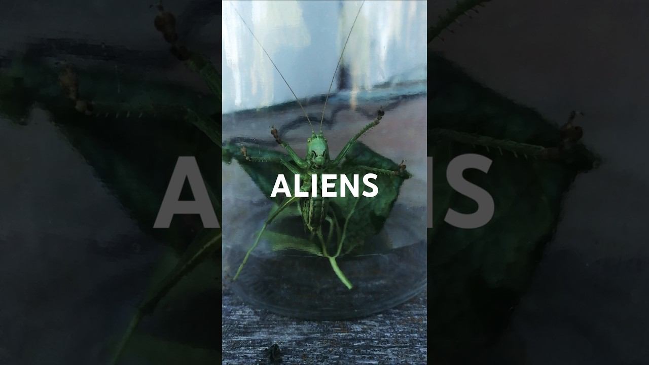 ALIENS, САРАНЧА АТАКУЕТ ЛЮДЕЙ. ПОЙМАЛ ОДНУ ОСОБЬ ДЛЯ ЭКСПЕРИМЕНТОВ НАД МУТАНТАМИ смотреть онлайн