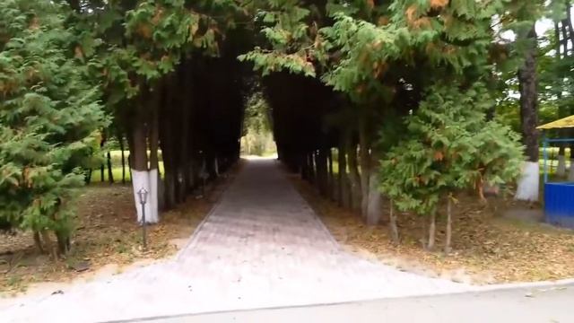 Санаторий "Борок", Смоленск смотреть онлайн