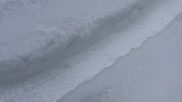 Дорога в лесу,а ехать надо. смотреть онлайн