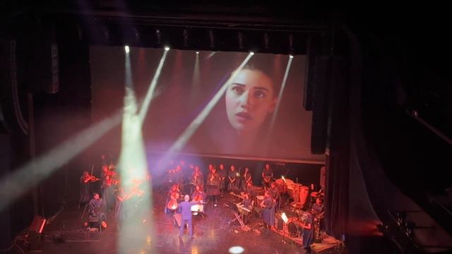 Calikusu Королёк — птичка певчая bn team orchestra смотреть онлайн