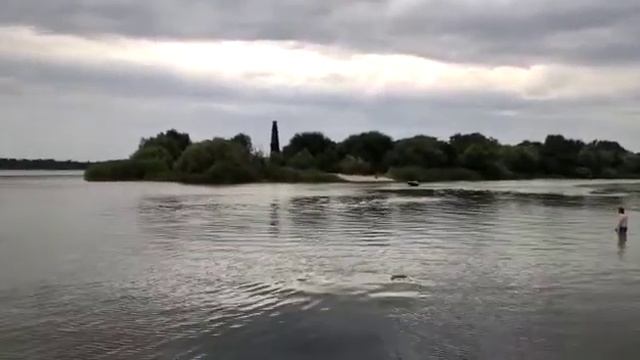 Кайман 350 смотреть онлайн