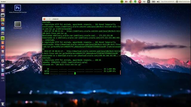Como instalar PhpStorm no Ubuntu смотреть онлайн