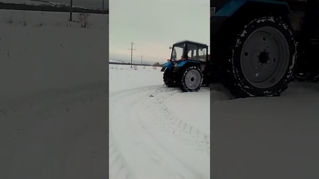 Сын убирает Американский клён#2 смотреть онлайн