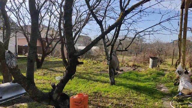 Анапа. 21.11.2020. Домик в деревне. смотреть онлайн