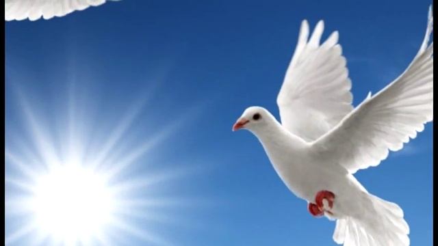 Дух Святой (София Святодух, Свет Софии) смотреть онлайн