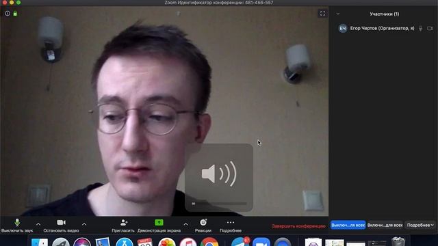 Zoom - звук, сессионные залы смотреть онлайн