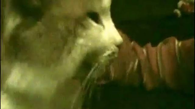 кто вкрав ковбасу