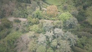 Честный - Не на Майами пока.Матушка Русь.