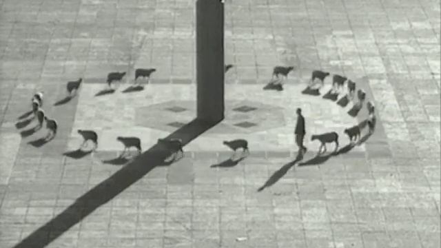 Франсис Алюс, Cuentos Patrióticos, 1997