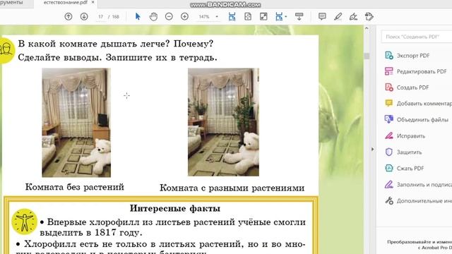 Урок 5. Как работают листья растений. Естествознание. 3 класс. смотреть онлайн
