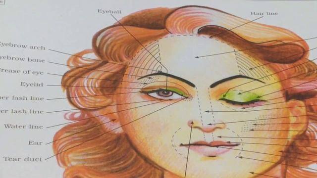 Face part ke naam professional beautician online beauty parlour course смотреть онлайн