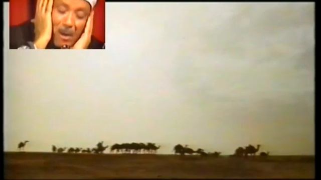 АБДУЛБАСИТ АБДУЛСАМАД (Джуз Амма на фоне природы).