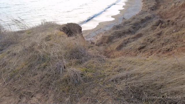 Одесса / Каким стал сгоревший лес / Оползни / Море смотреть онлайн