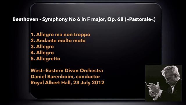 Beethoven's Sonic Odyssey: A Journey through Nine Symphonies смотреть онлайн