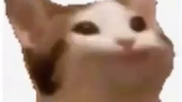 Поп кет попоет без звука :3 смотреть онлайн