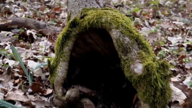 Пролески смотреть онлайн