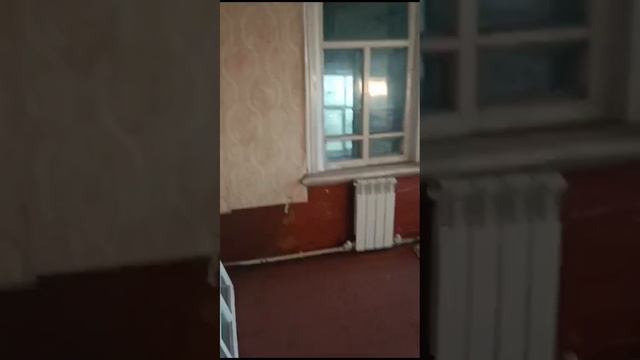 11443537 смотреть онлайн