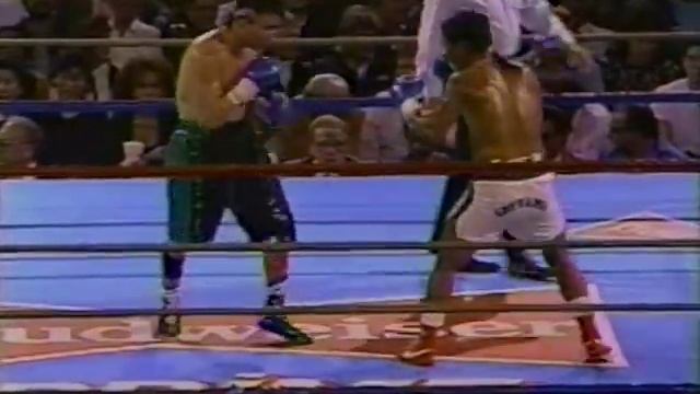 Jorge Paez Sr vs Allan Makitoki смотреть онлайн