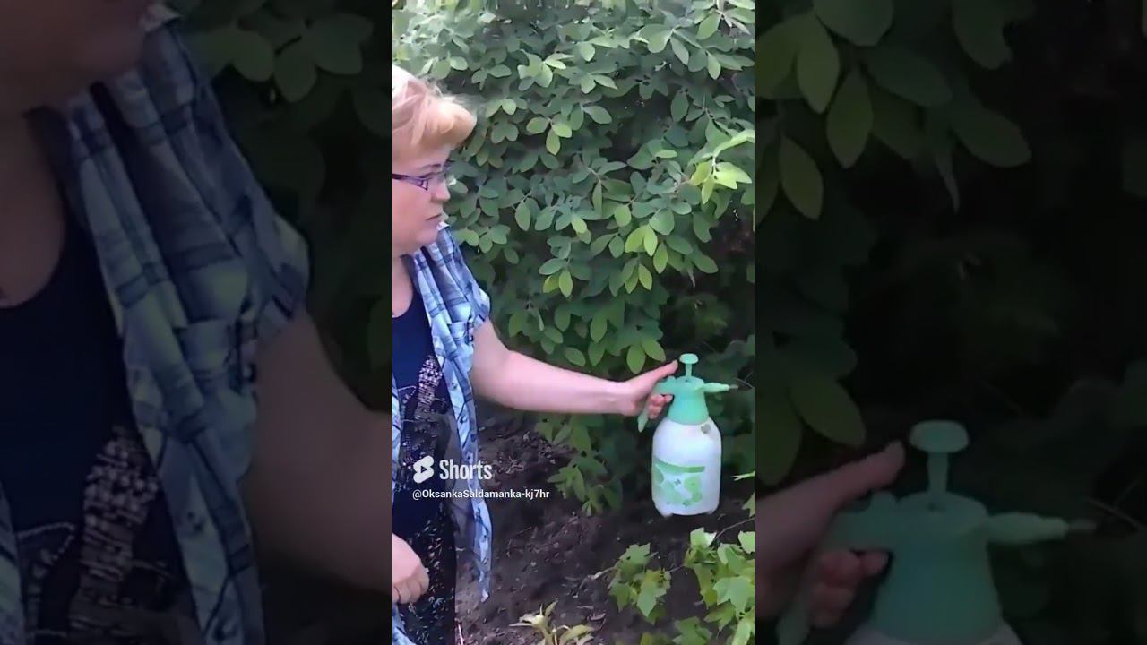 работа кипит смотреть онлайн