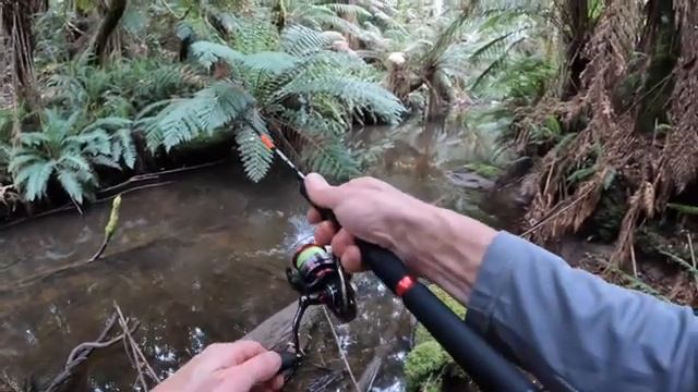 Gellibrand River Trout on Rapala Lures #22 смотреть онлайн
