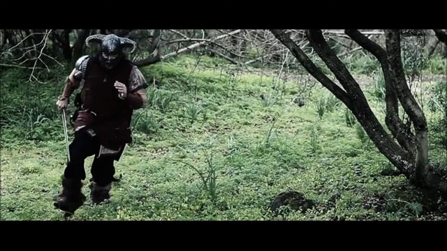 Скайрим клип