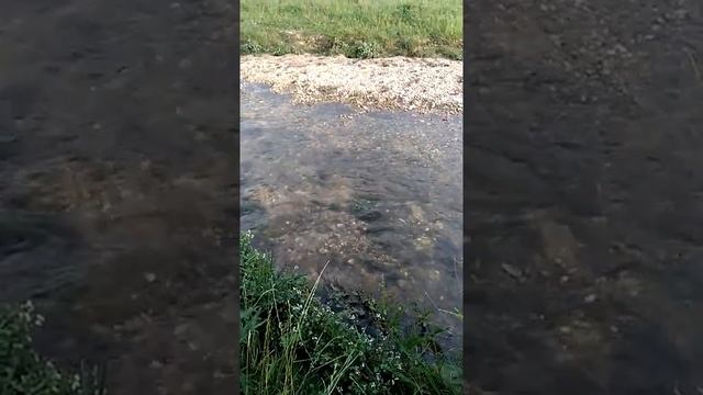 Как работают наши сны.mp4 смотреть онлайн