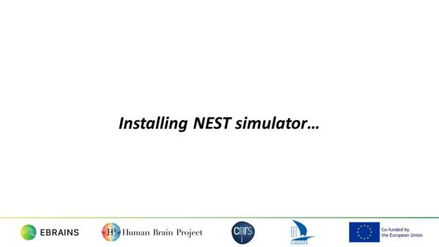 Installing PyNN on a Linux system смотреть онлайн