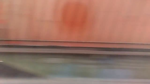 Отправление #28 поезда Брест-Москва со станции Барановичи-Центральные смотреть онлайн