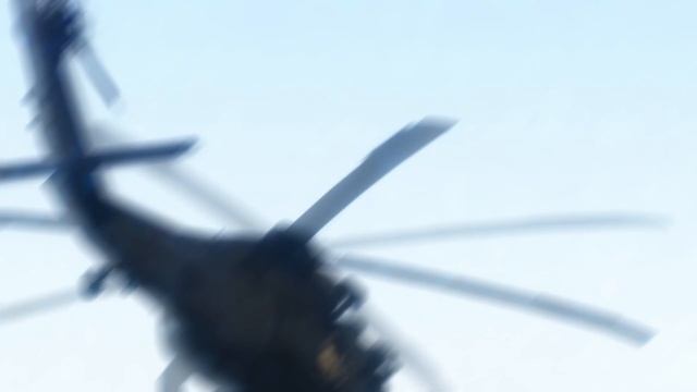 DEVGRU BLUE roblox edit смотреть онлайн