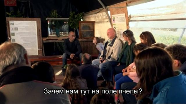 Клубничка и туризм Strawberry tour смотреть онлайн