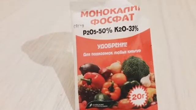 Помидоры комнатные на подоконнике.В ЛЮБОЕ время года?Шаг4. смотреть онлайн