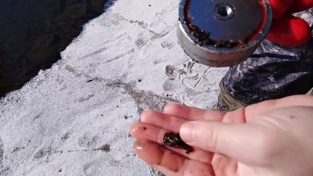 ПОИСКОВЫЙ МАГНИТ...ОТКРЫТИЕ СЕЗОНА 2021 смотреть онлайн