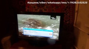 DVB T2 приставка нет звука