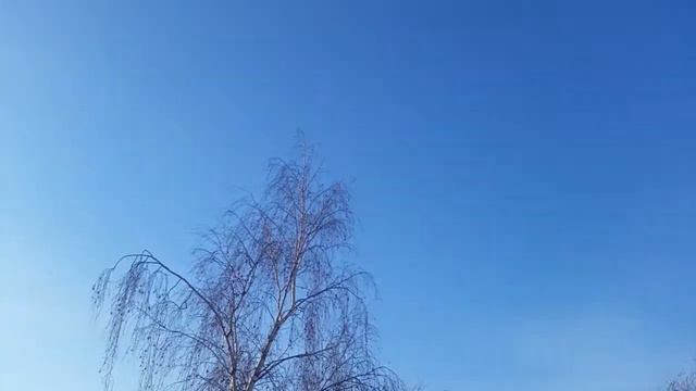 СУББОТНЯЯ СКАЗКА 6 МАРТА 2021 года... смотреть онлайн