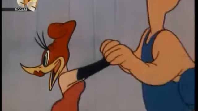 Дятел Вуди Вудпекер  /38 серия/ Полка Вуди Вудпекера