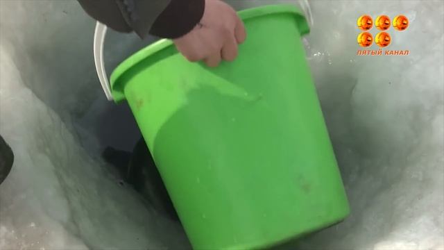 В поселке Торангалык, что берегу Балхаша, больше 20 лет ждут чистую воду смотреть онлайн