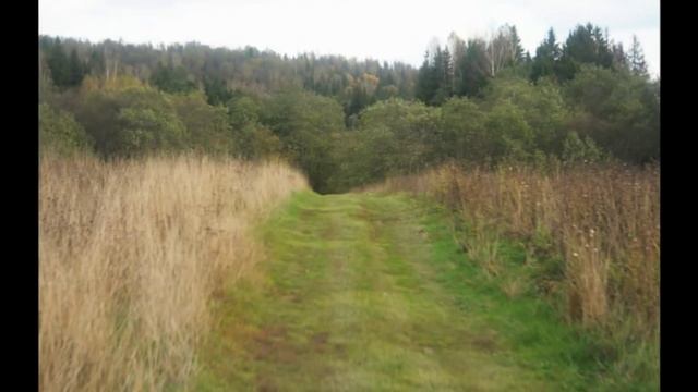 Четыре Ангела - (стих.С. Каплан, муз. А. Софронов) смотреть онлайн