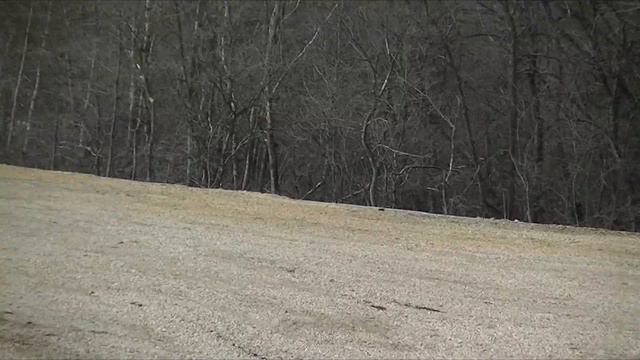 хопёр весной смотреть онлайн