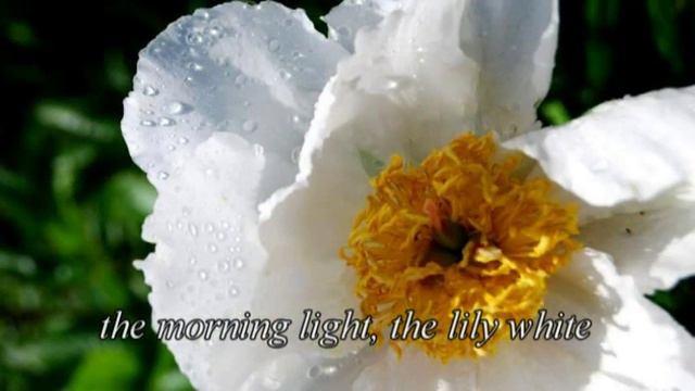Hymn "This Is My Fathers World" by Gospel Harmonica смотреть онлайн