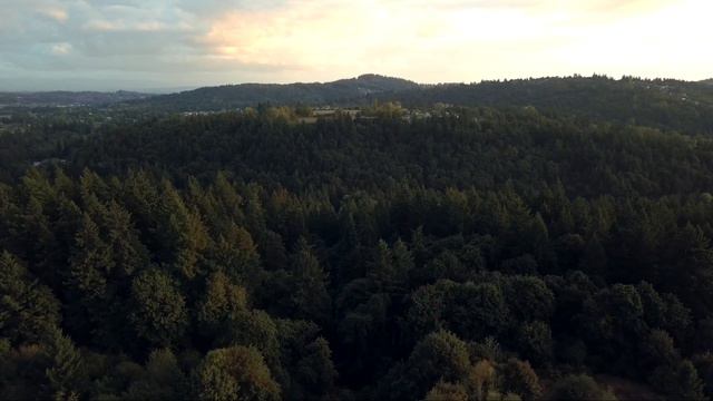 Ambient 528Hz Music | Solfeggio Frequencies with Bird Sounds for Meditation and Sleep | "Aura" смотреть онлайн