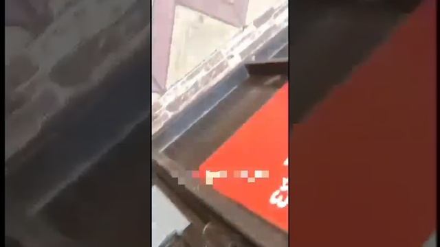 Русские туристы в Дагестане ведут себя вызывающе вульгарно смотреть онлайн