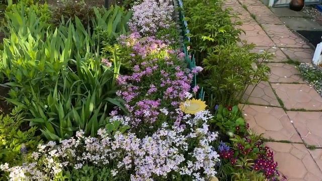 Дача. Майский сад усыпан лепестками цветов яблони. ) смотреть онлайн