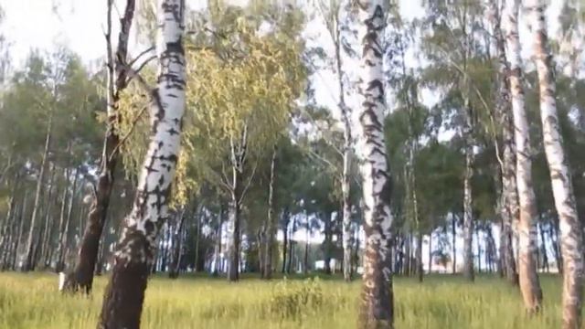 "Ценности изменились..." Обращение к застройщикам смотреть онлайн