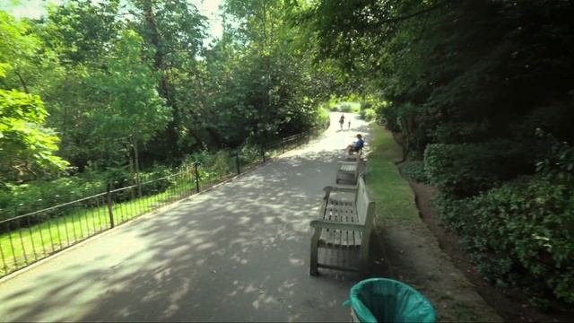 Kodak Vision3 250D In 35mm